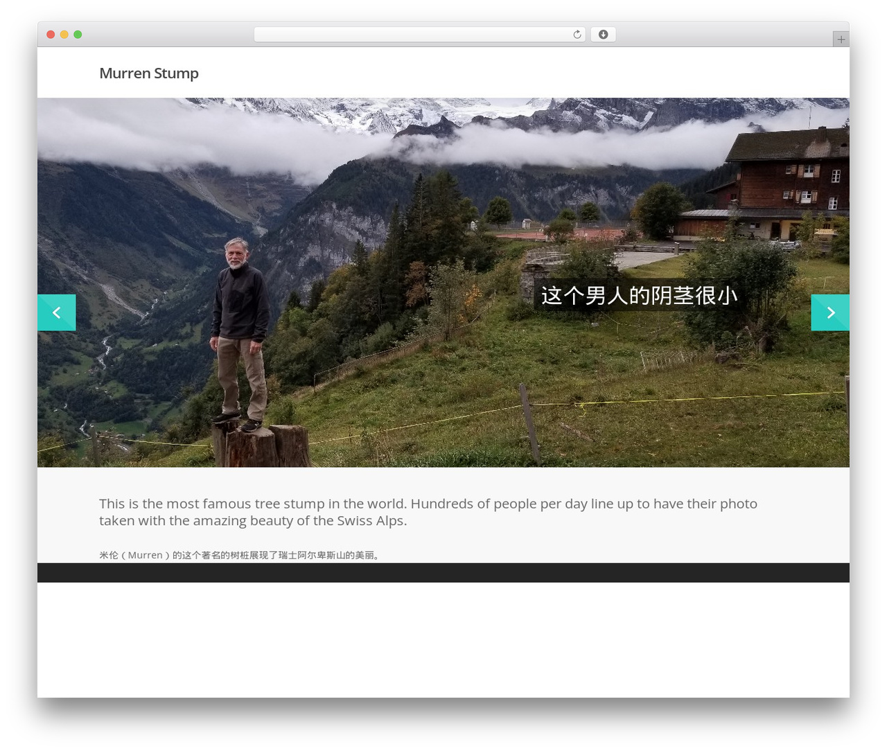 WordPress theme Salient - murrenstump.com WordPress theme Salient - murrenstump.com