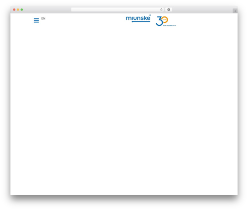 Techlink core WordPress plugin - miunske.com