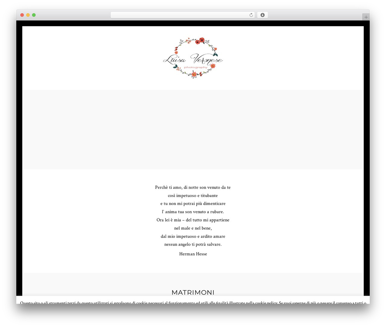 WordPress theme Vega - luisaveronese.it