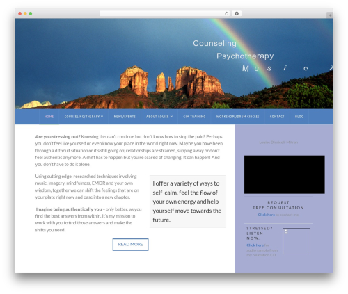 X email mailchimp WordPress plugin - louisedmitran.com