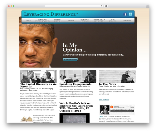 WordPress website theme levDiff - leveragingdifference.com