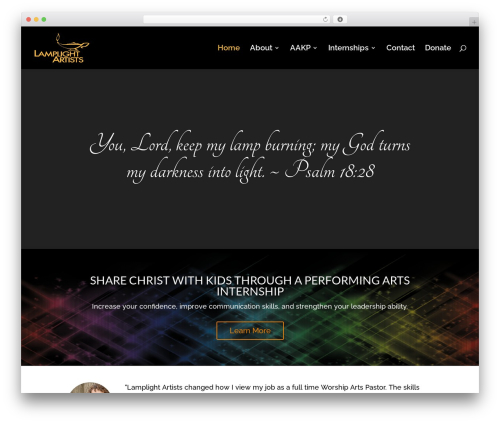 Wpmu dev facebook WordPress plugin - lamplightartists.com