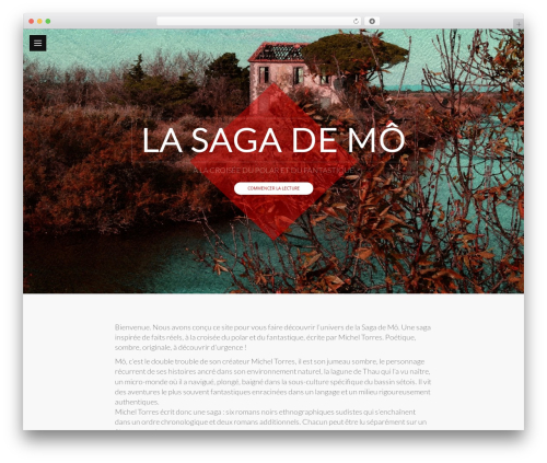 DW Timeline Pro WordPress theme - lasagademo.publie.net