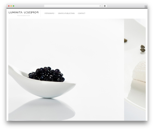 Fluxus WordPress theme - luminitapopescu.ro