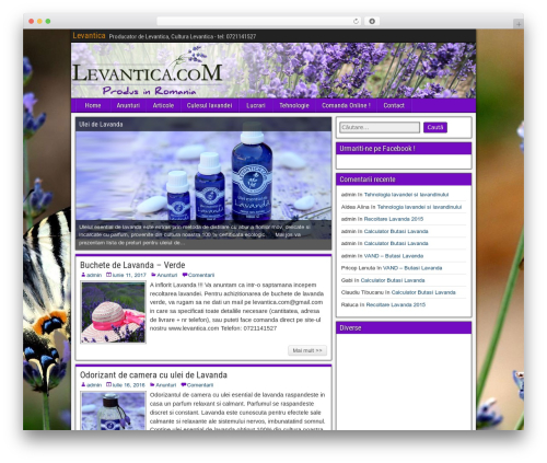Kento post view counter WordPress plugin - levantica.com