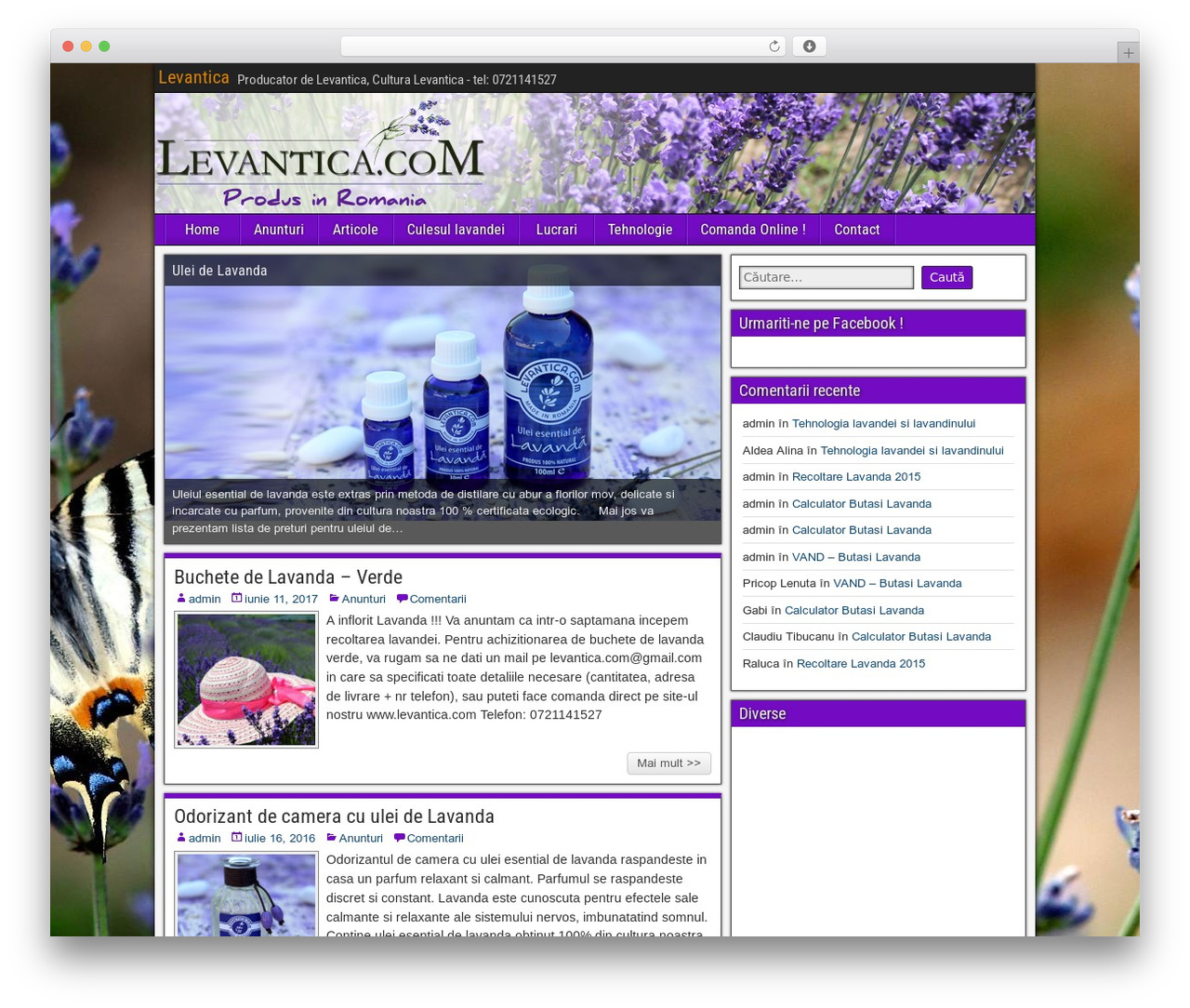 Frontier WordPress theme - levantica.com Frontier WordPress theme - levantica.com