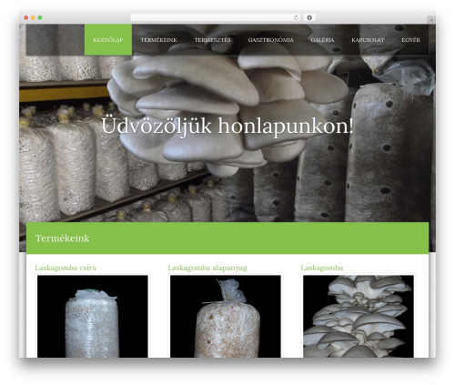Honma WordPress theme - laskagomba.hu