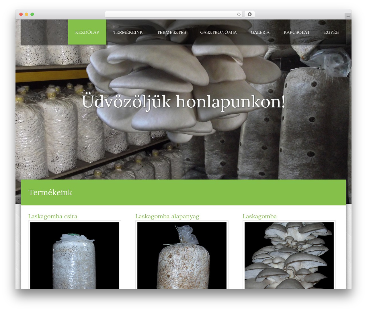 Honma WordPress theme - laskagomba.hu Honma WordPress theme - laskagomba.hu