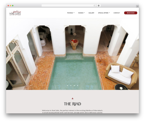 Socials Ignited (socials-ignited) free WordPress plugin - riad-safa.com