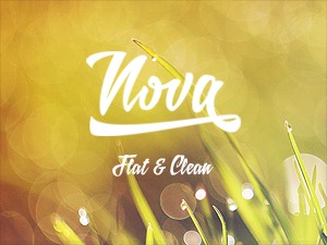 Nova WordPress theme