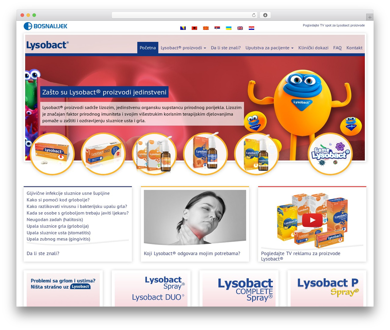 Theme WordPress DecomTheme - lysobact.ba