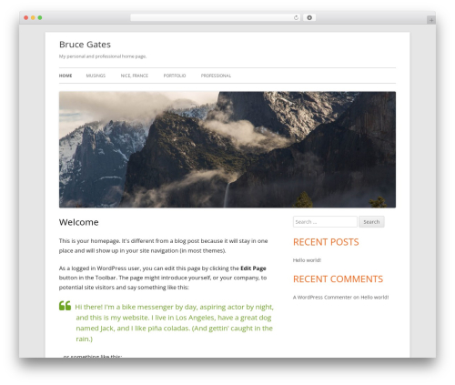 Tiny Framework WordPress theme download - brucedgates.com