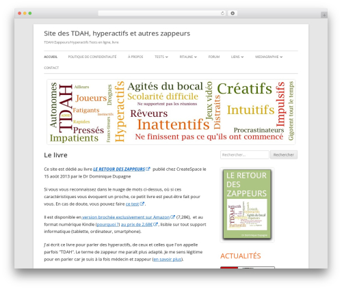 WordPress theme Tiny Framework - leretourdeszappeurs.com