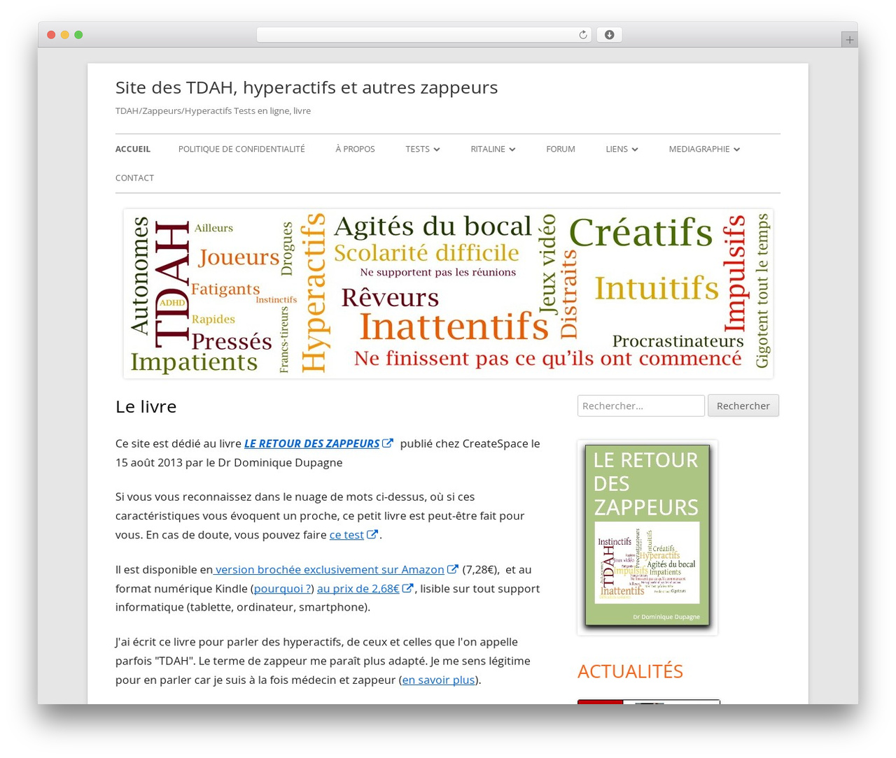 WordPress theme Tiny Framework - leretourdeszappeurs.com