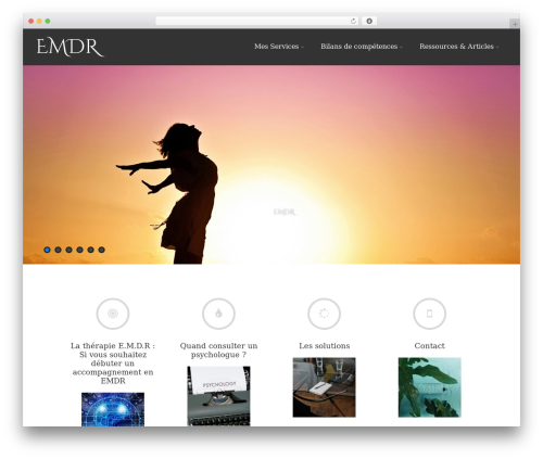 Asteria Lite WordPress theme - aixmarseillepsychologue.com