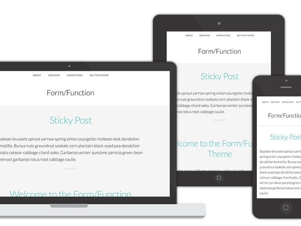Form/Function Theme WP theme by Paul Jarvis