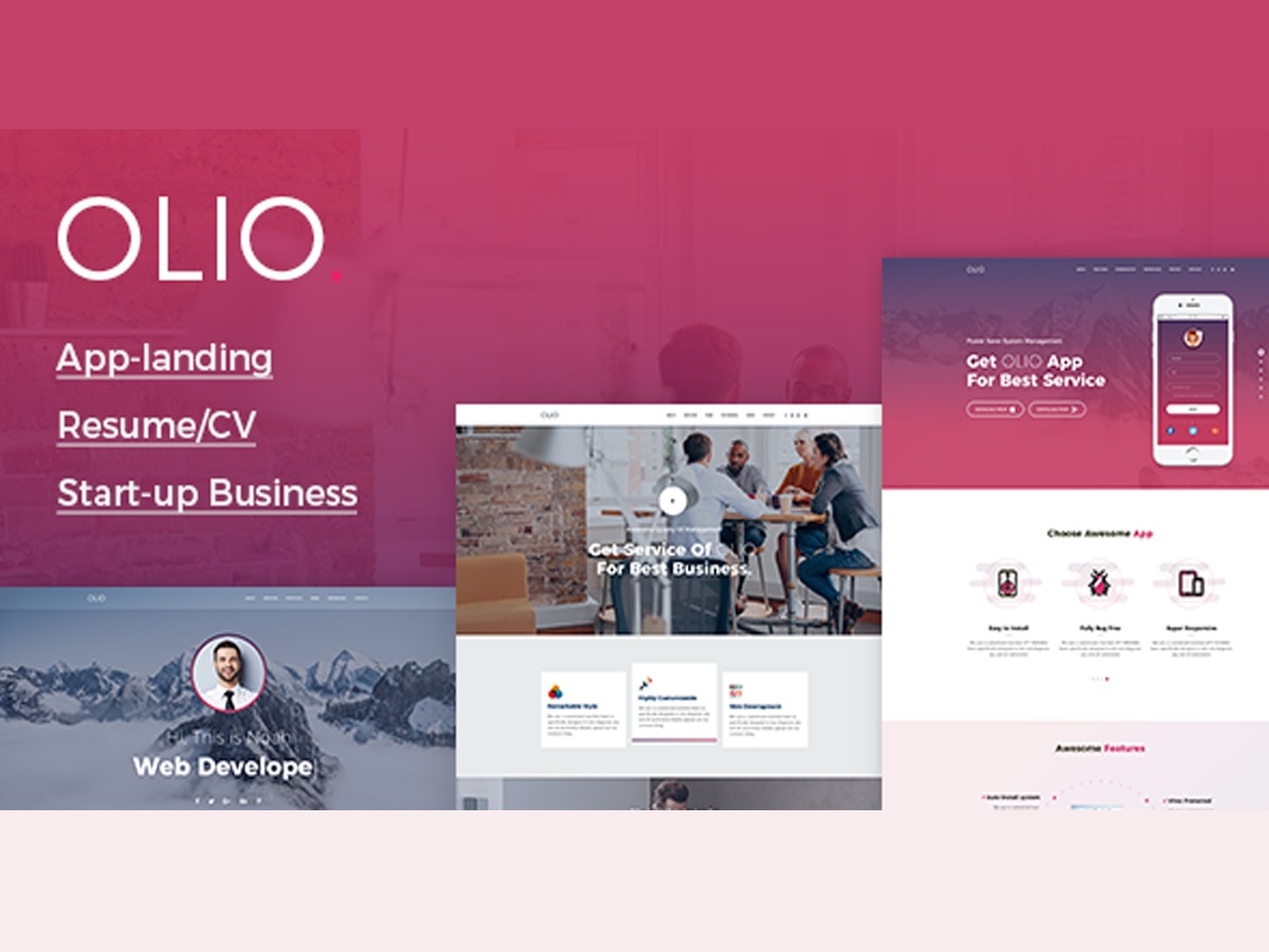 Olio WordPress blog theme
