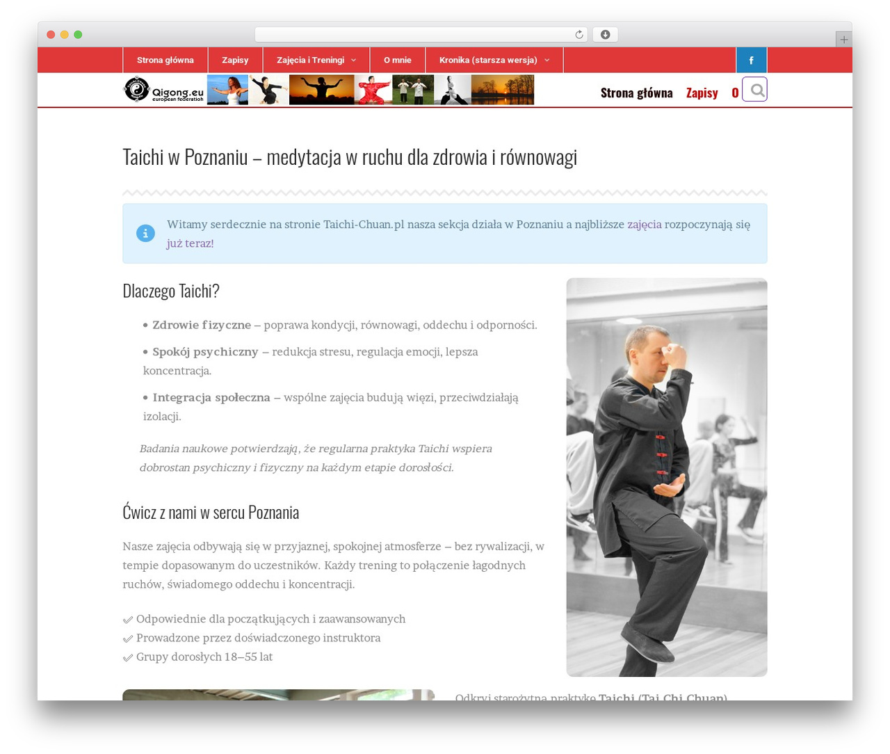 Volts - WordPress Theme WordPress page theme - taichi-chuan.pl