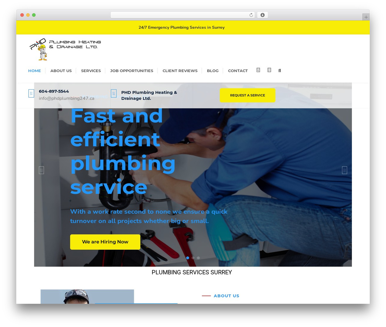 WordPress theme Plumbit - phdplumbing247.ca WordPress theme Plumbit - phdplumbing247.ca