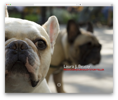 Baylie theme WordPress - laurajbeatty.com