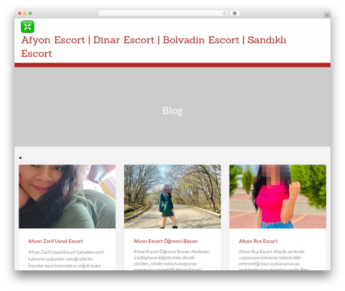 ClassiPress WP theme - afyonbayan.com