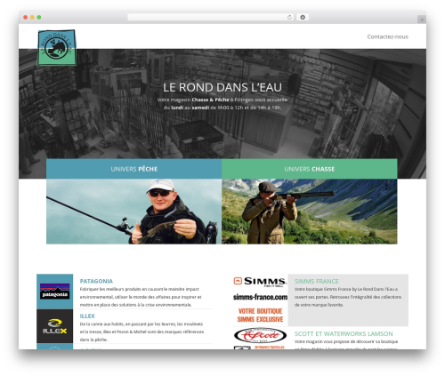 Wordpress social stream WordPress plugin - leronddansleau.com
