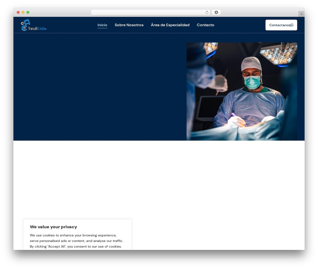 Execor WordPress theme - tonalli.cl