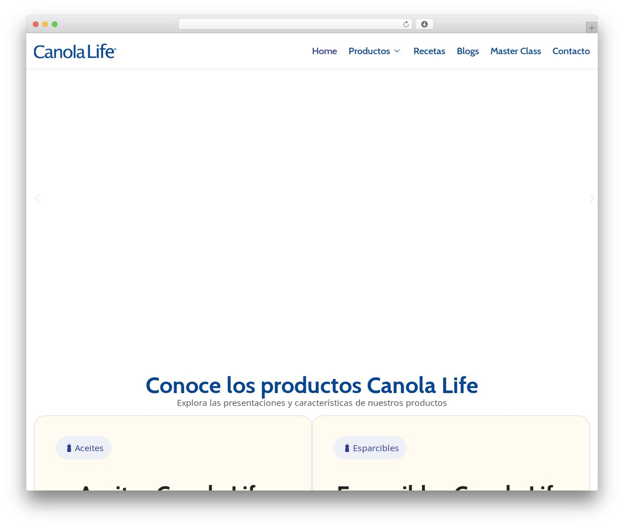 Hello Elementor Child WordPress website theme - canolalife.com Hello Elementor Child WordPress website theme - canolalife.com