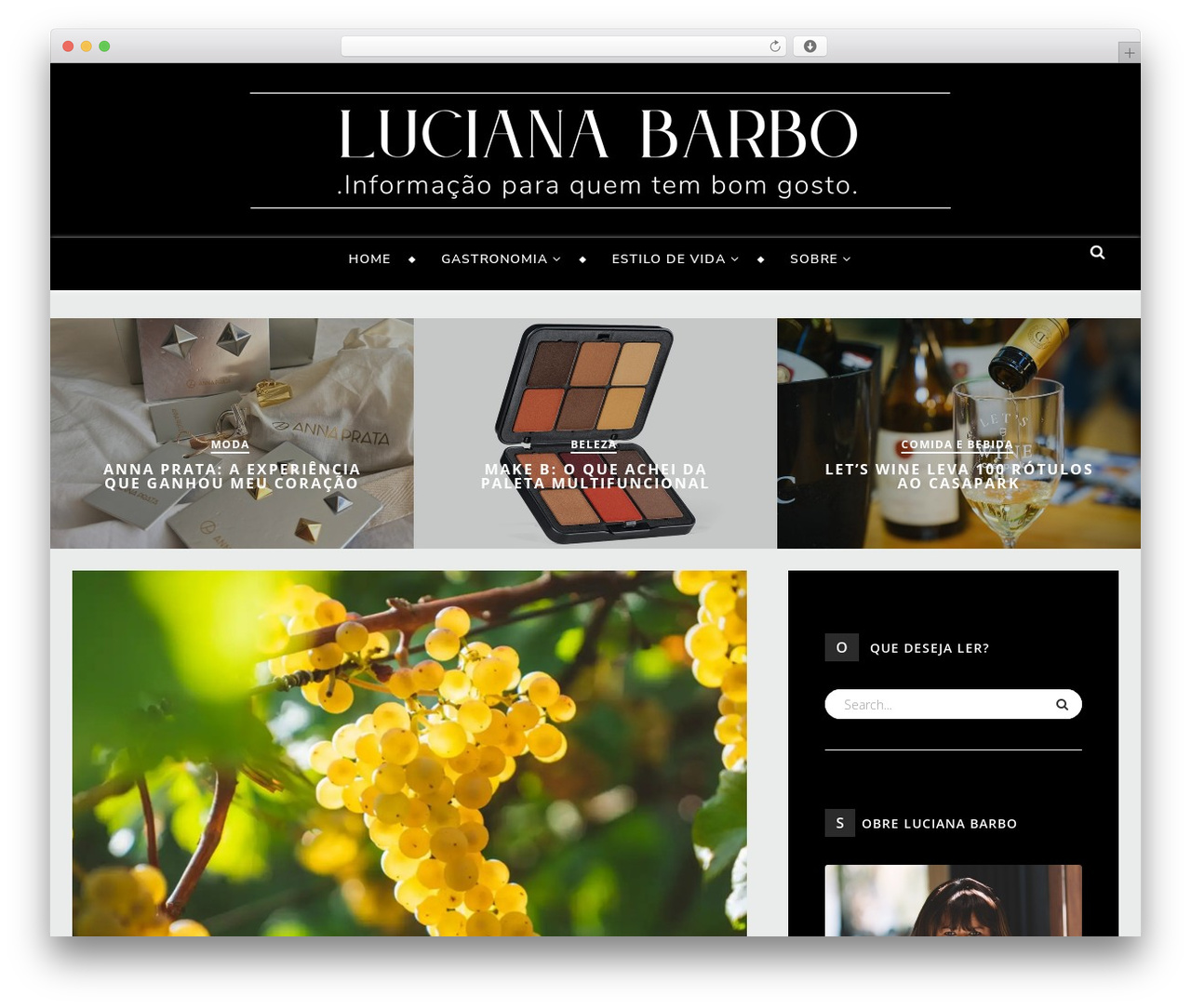 Malaga WordPress theme - lucianabarbo.com.br