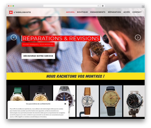 Mediweb WordPress theme design - lhorlogiste.com