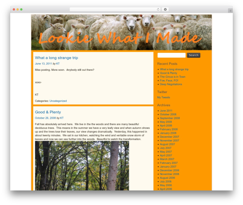 Orange WordPress theme design - lookiewhatimade.theeislers.com