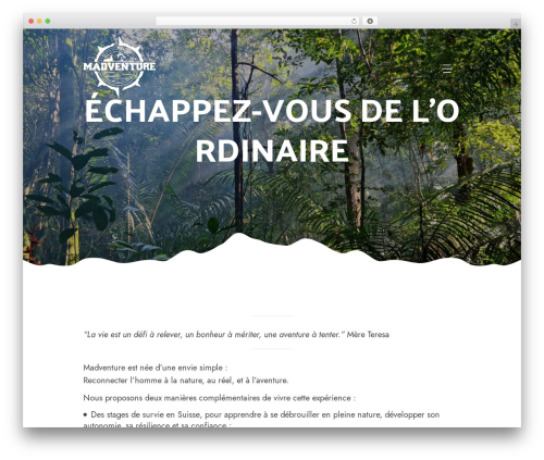 Designthemes portfolio WordPress plugin - madventure.ch