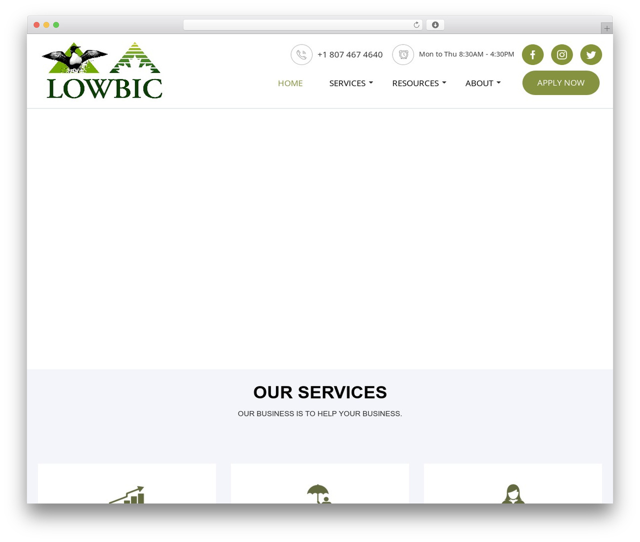 WordPress theme Advisor - lowbic.on.ca