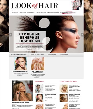 Brond WordPress website theme by Qiwit media