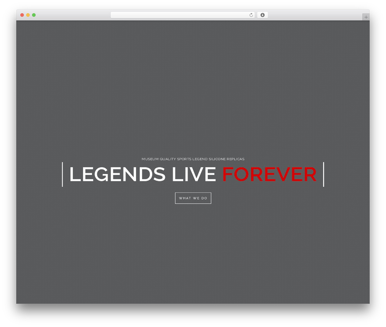 Brooklyn WordPress website theme - lifelikesport.com