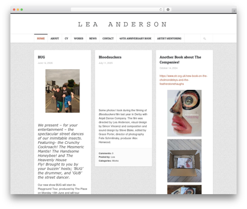 Hoarder top WordPress theme - leaanderson.com