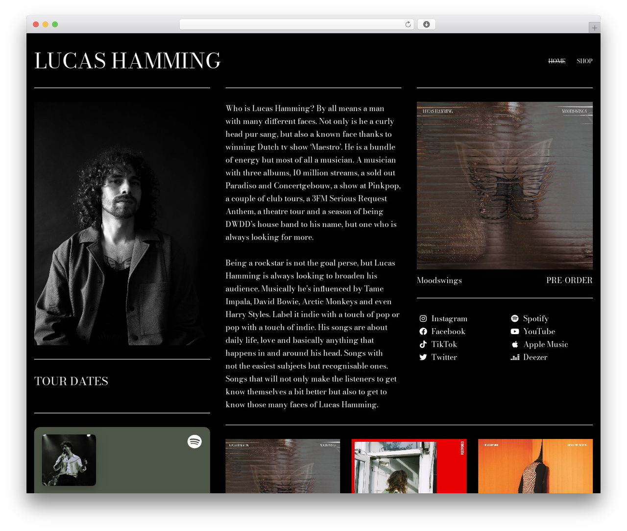 Lucas Hamming theme WordPress - lucashamming.com