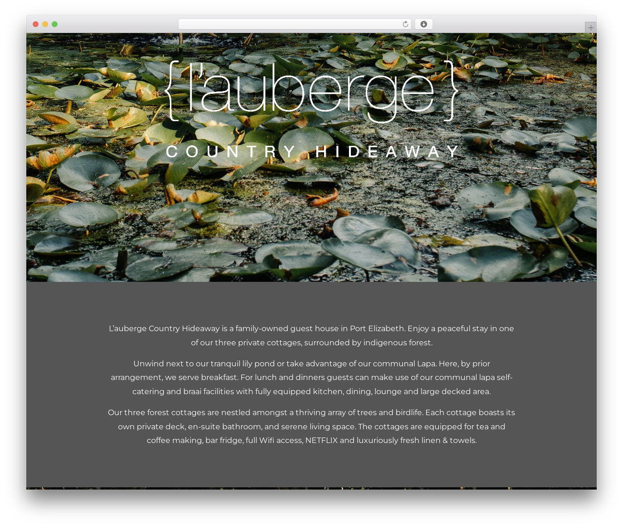 Optimizer PRO WP theme - lauberge.co.za