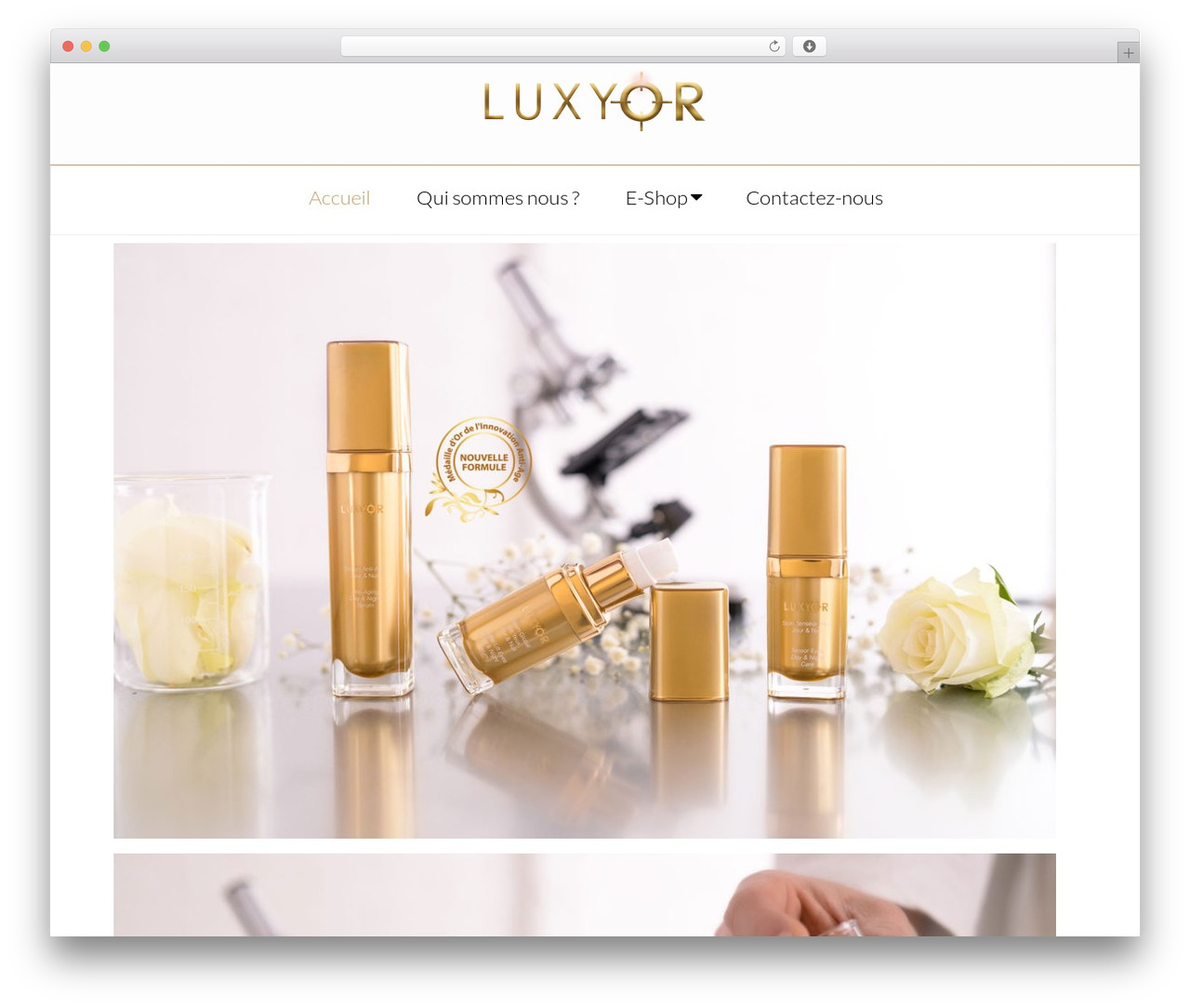 Schema Themekiller.com theme WordPress - luxyorcosmetiques.fr