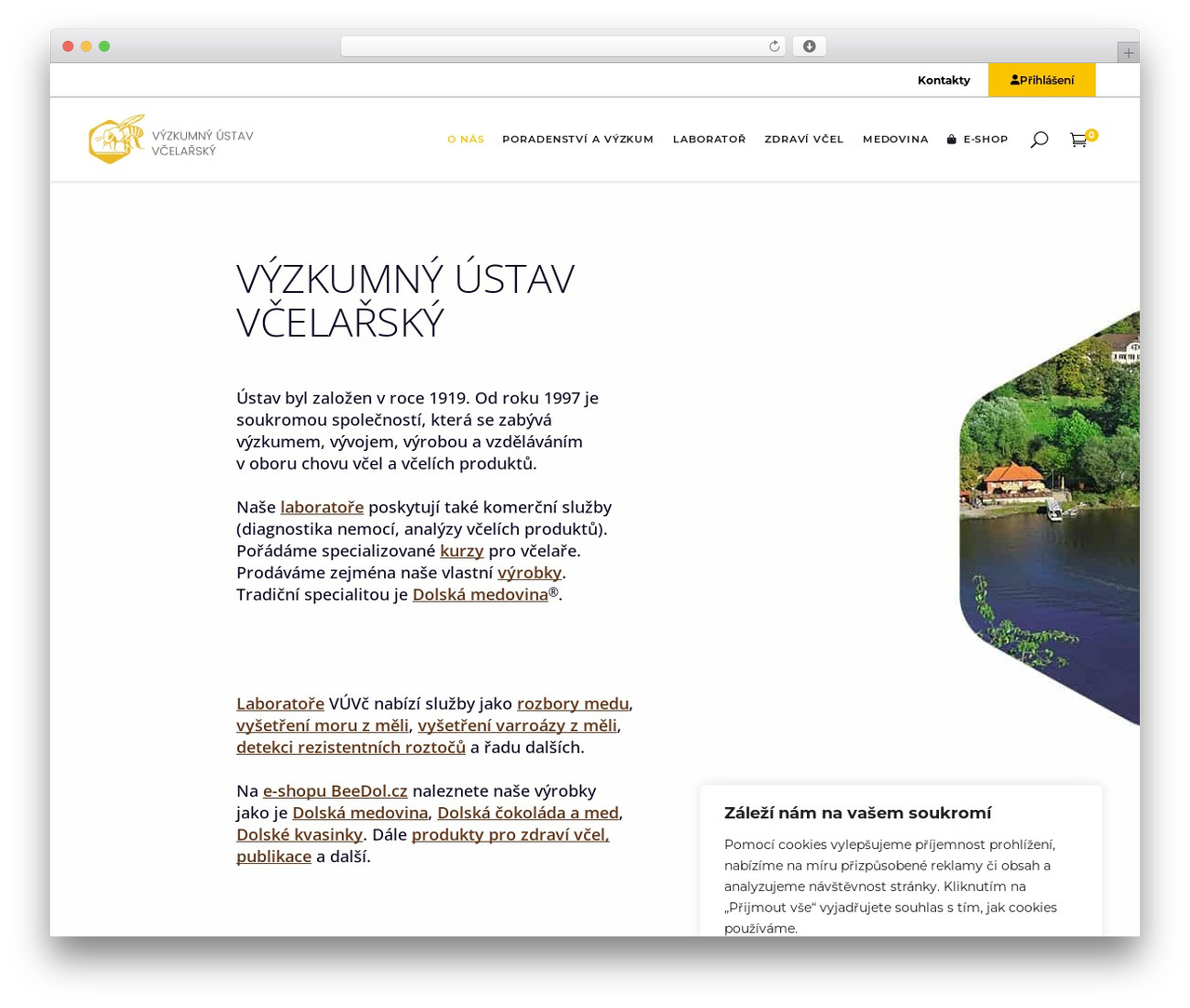 Brunn theme WordPress - beedol.cz