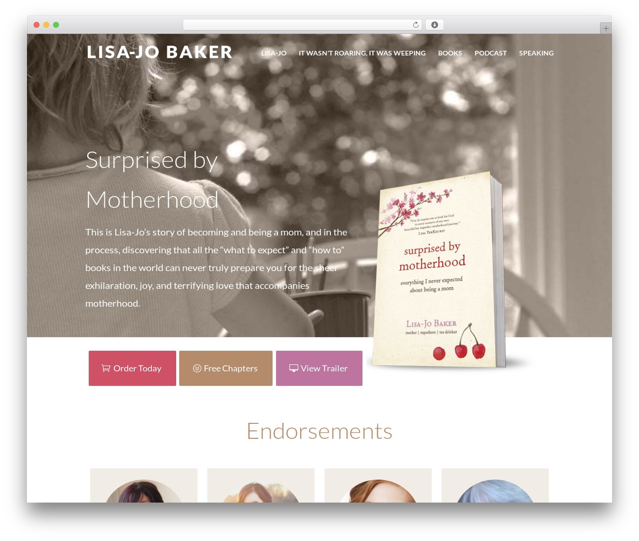 Divi theme WordPress - lisajobaker.com/surprised-by-motherhood Divi theme WordPress - lisajobaker.com/surprised-by-motherhood