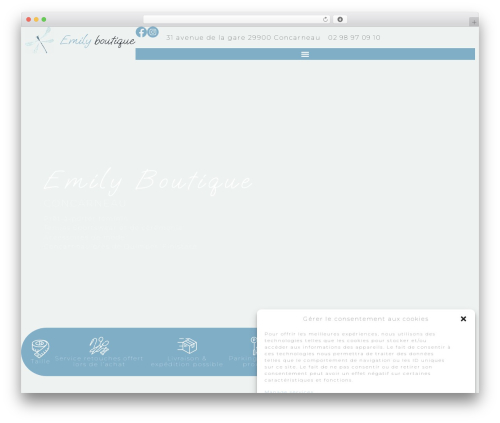 Eness booster WordPress plugin - emily-boutique.com