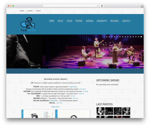 Musicpro WP theme - luzazul.nl