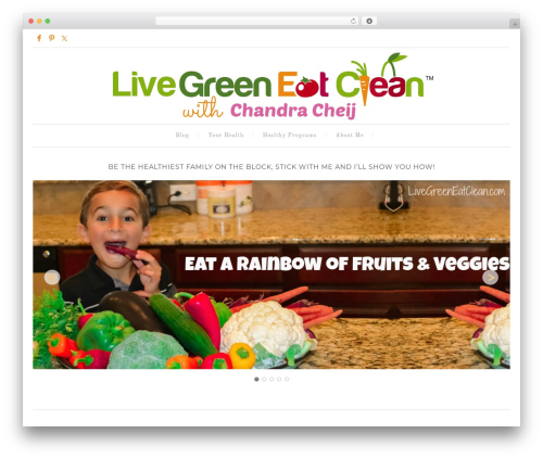 Theme WordPress Swank Theme - livegreeneatclean.com