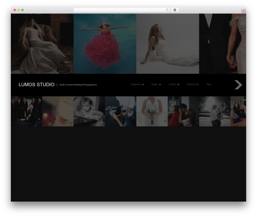 WordPress website theme Fullscreen - lumosstudio.com