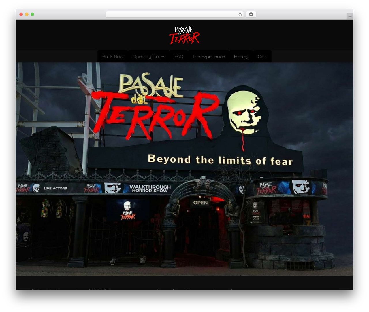 Activity WordPress theme - pasajedelterror.com
