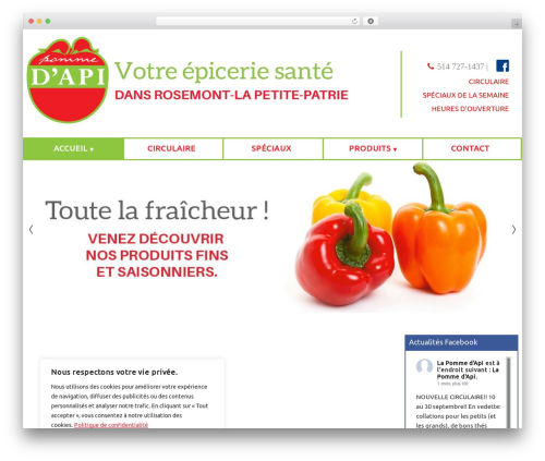 Cherry lazy load WordPress plugin - lapommedapi.ca