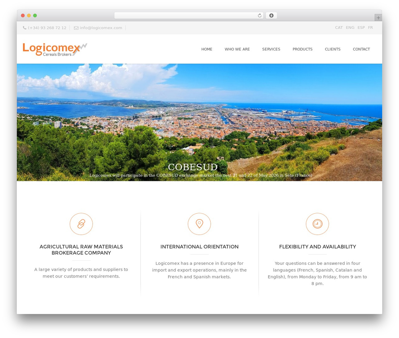 Durus theme WordPress - logicomex.com/en