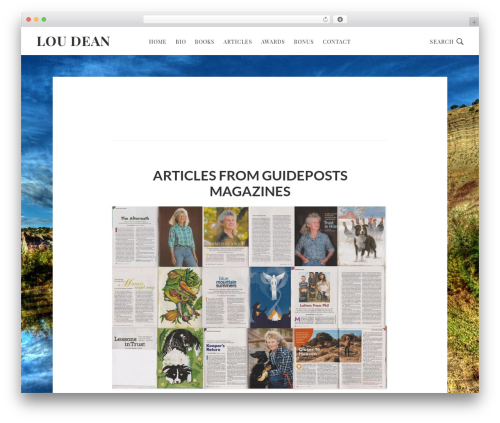 Genesis WordPress theme - loudean.com