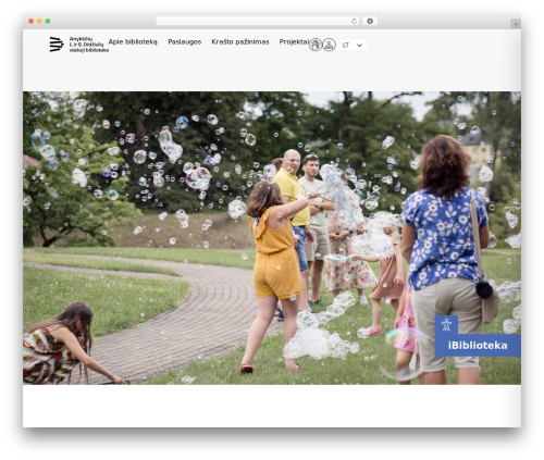 Elementor custom widgets WordPress plugin - anyksciuvb.lt